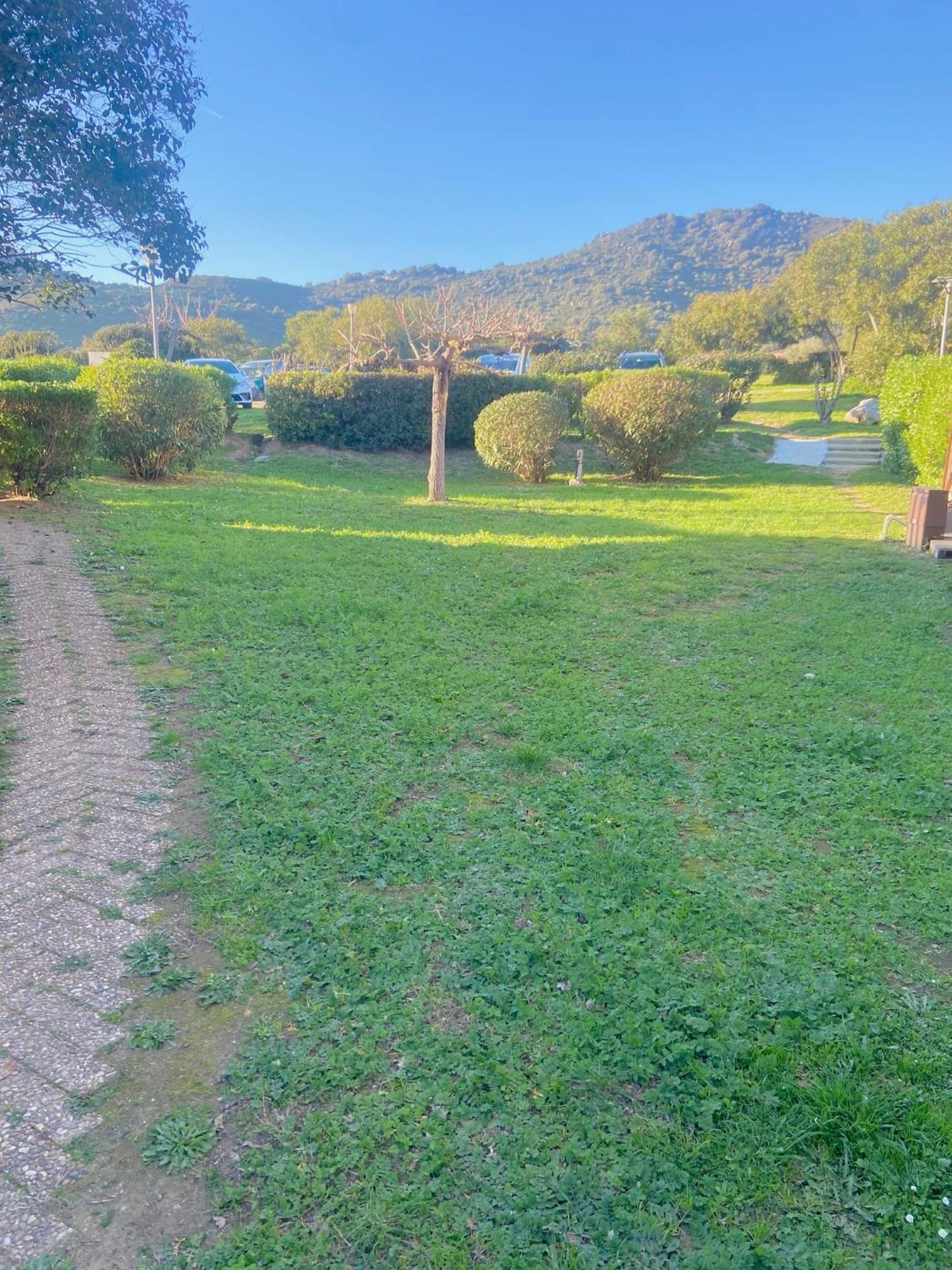 Tres Bel Appartement Les Pieds Dans L'Eau Appietto Exterior foto
